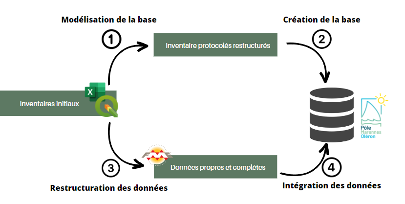 Processus d'adaptation des protocoles faunistiques et des données liées